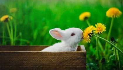 中国U23男足挺进决赛，京沪深蓉穗球迷订影音房热度高涨